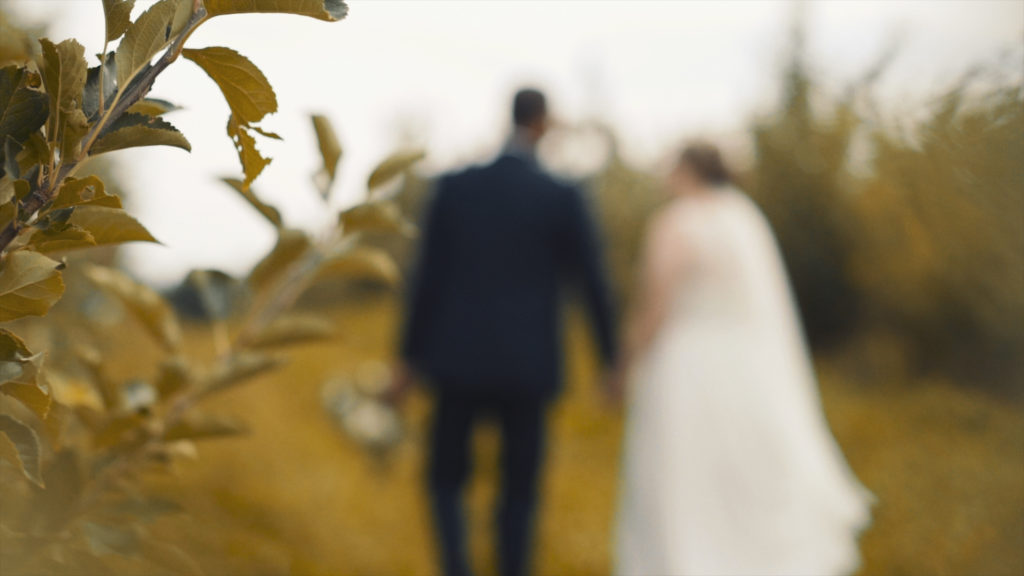 Lyman Orchards Wedding Film